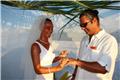 matrimonio 7